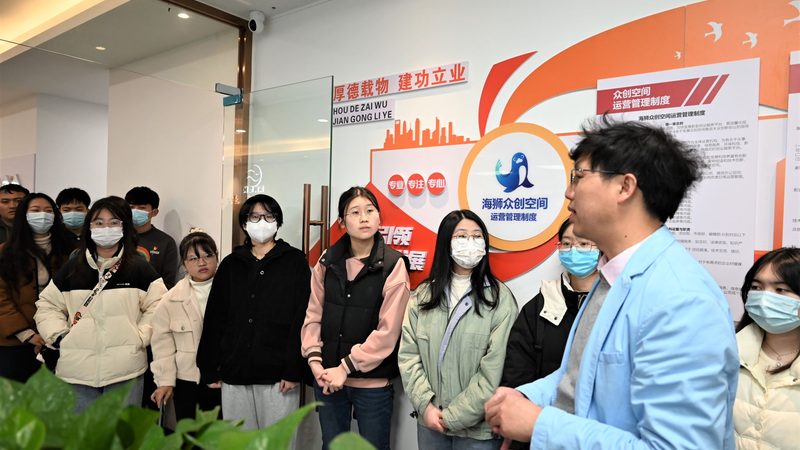 Shopify新手必知：五大常见问题解析